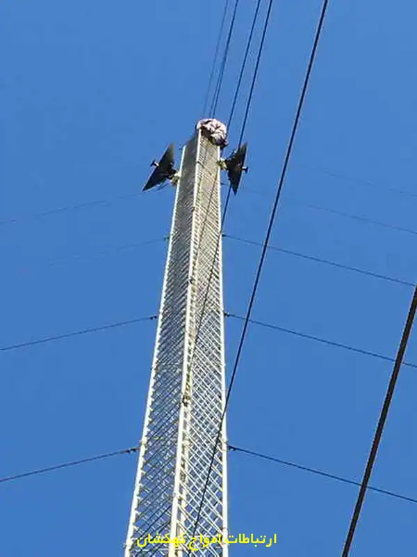 سرویس مهندسی دکل مهاری سپه